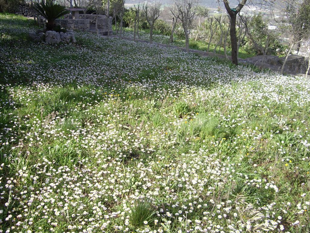 Trulli Convertini Locorotondo Room photo